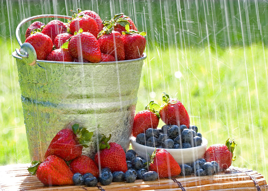 Summer Photograph - Fresh Strawberries in the Rain by ELITE IMAGE photography By Chad McDermott