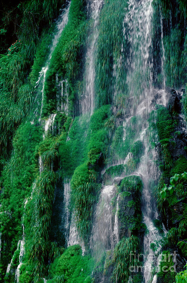 Fresh Water - Iguazu Falls Photograph by Craig Lovell