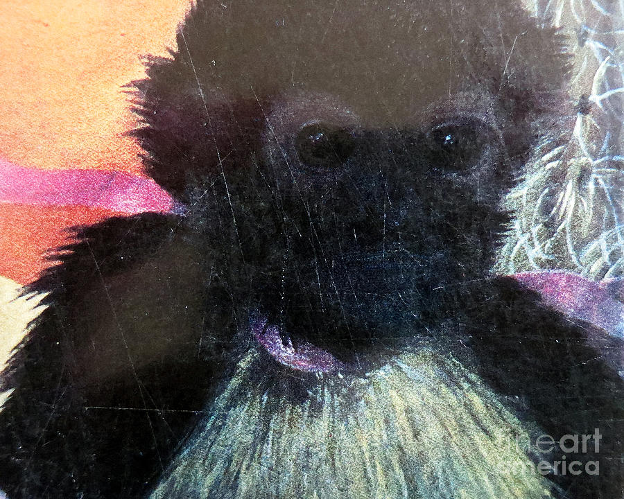 Fridas Monkey Photograph by Patricia Januszkiewicz