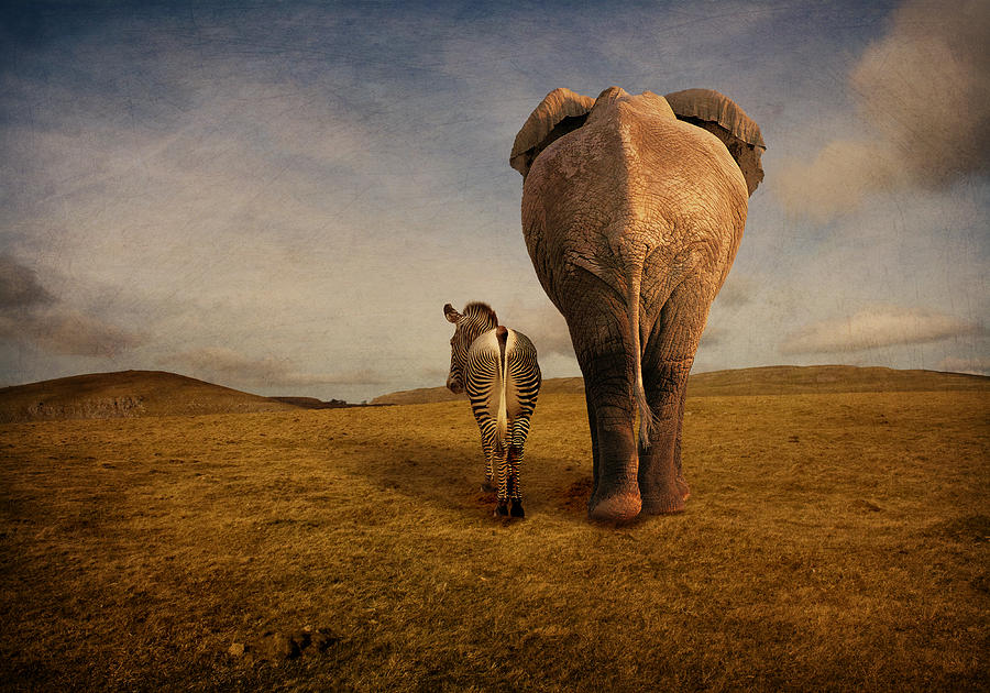 Elephant Digital Art - Friendship by Astrid Rieger