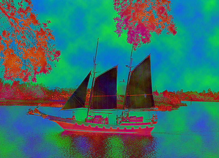 Frigate Sailing in Georgetown Digital Art by Connie Fox