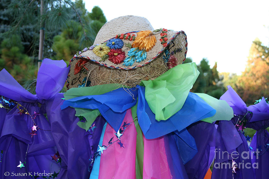 Frilly Scarecrow Photograph by Susan Herber
