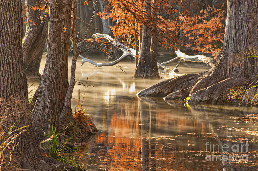 Fall Photograph - Frio River Fall Foliage by Andre Babiak