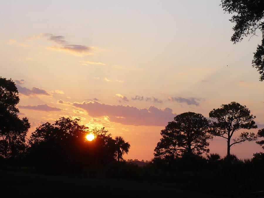 Fripp Island Golf Course Photograph by Stella Schaefer Fripp Island Golf Course Photograph by Stella Schaefer