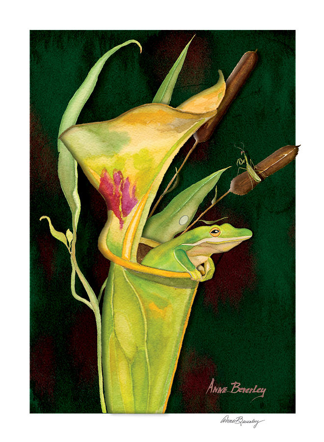 Frog in Green Pitcher Plant Painting by Anne Beverley-Stamps