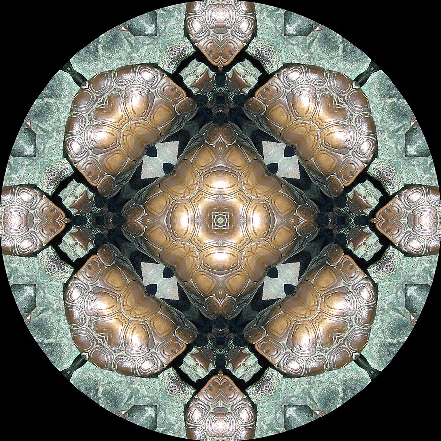 Abstract Digital Art - Frog Mandala 4 by Pam Blackstone