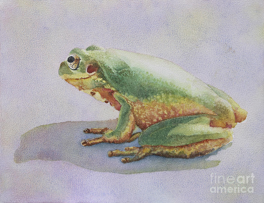 Frog Painting - Frog Study by Sari Sauls