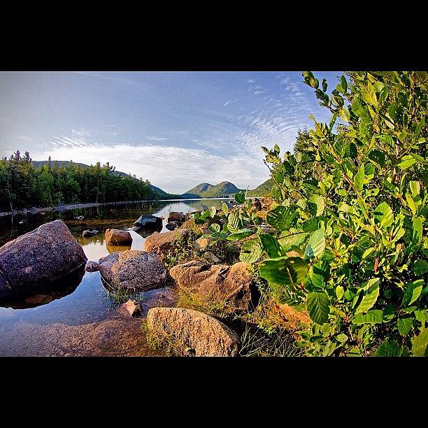 From Back In August #acadianationalpark Photograph by Dave Nilsen