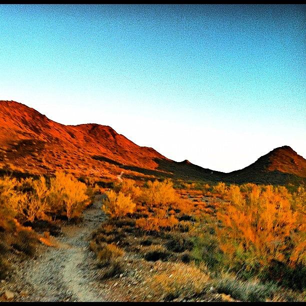 Nature Photograph - From Last Nights Run On Trail 100 by John Schultz