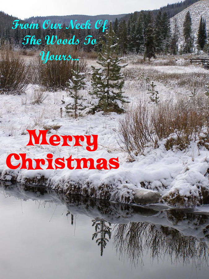 Christmas Photograph - From Our Neck Of The Woods to Yours by DeeLon Merritt