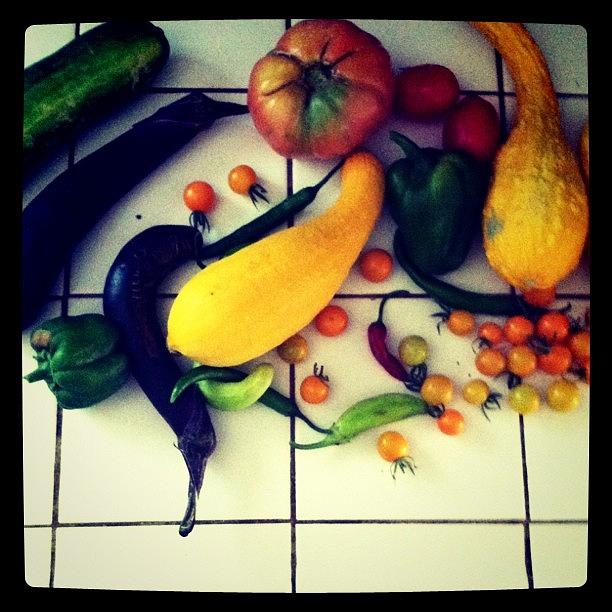 Food Photograph - From The Garden by Allison Faulkner