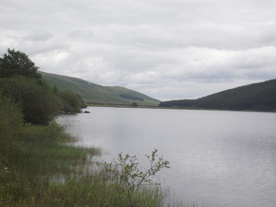 From The Shoreline Of St Marys Loch Photograph by Martin Blakeley