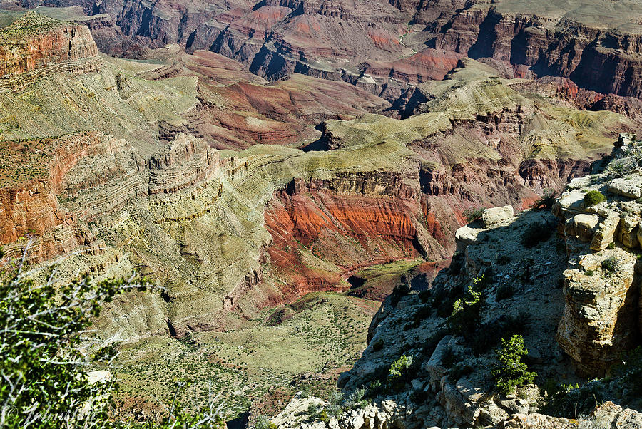Desert Painting - From Yaki Point 6 Grand Canyon by Bob and Nadine Johnston