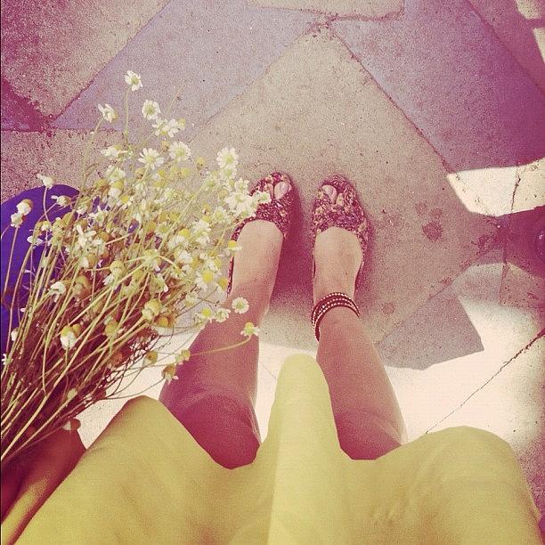Fresno Photograph - #fromwhereistand #floral #yellow by Allison Faulkner