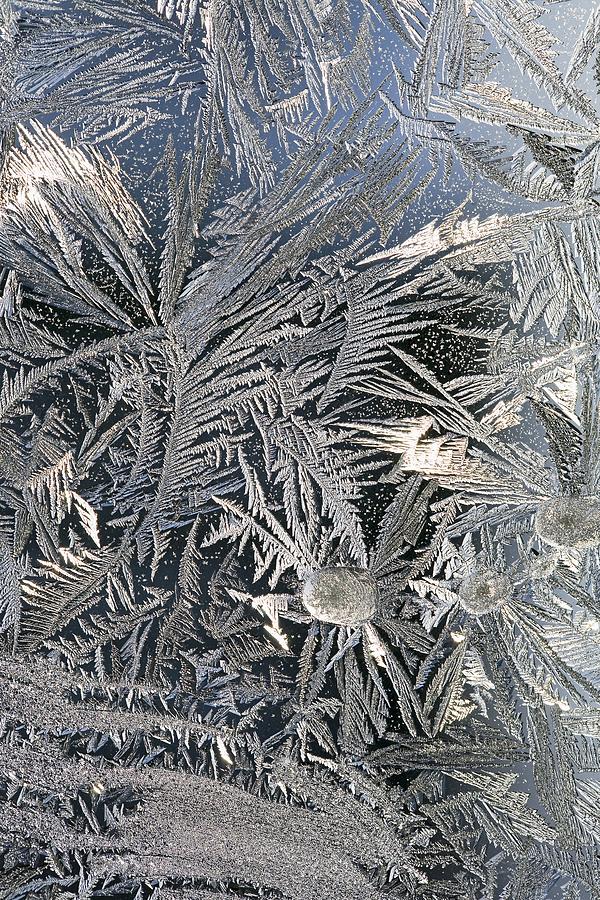 Frost Crystals On A Window Calgary Photograph by Michael Interisano ...