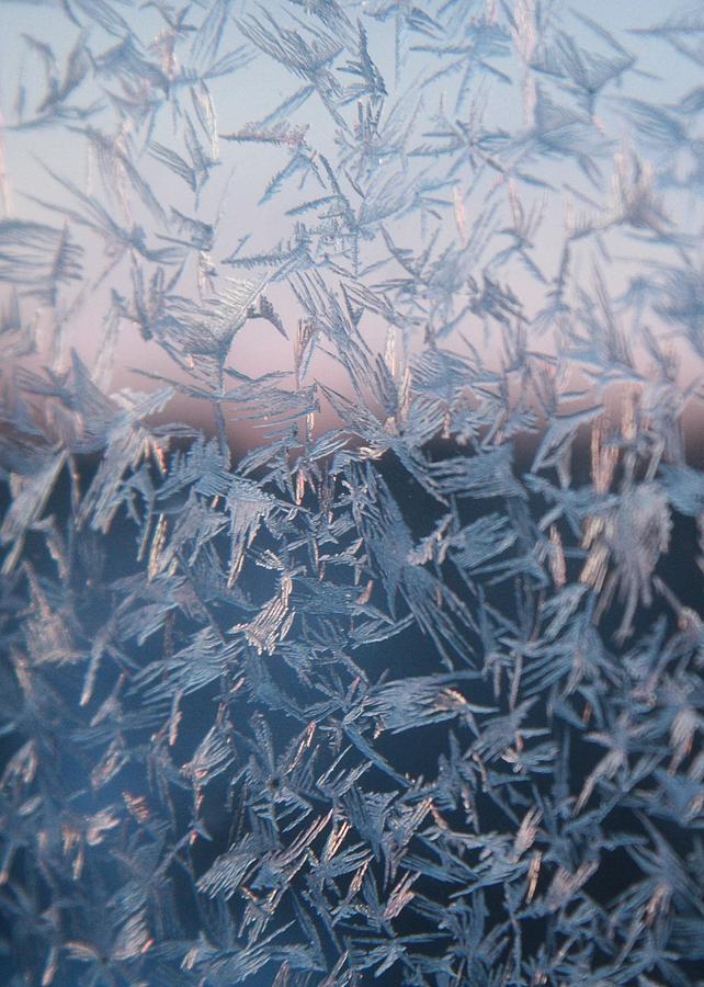 Frost Lace Photograph by Ellery Russell