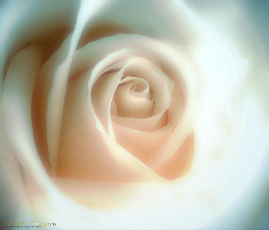 Frosted Glass Rose Photograph by Michelle Frizzell-Thompson