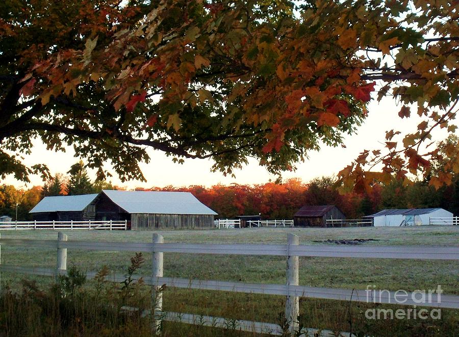 Frosty Fall Morning on the Farm Photograph by Desiree Paquette