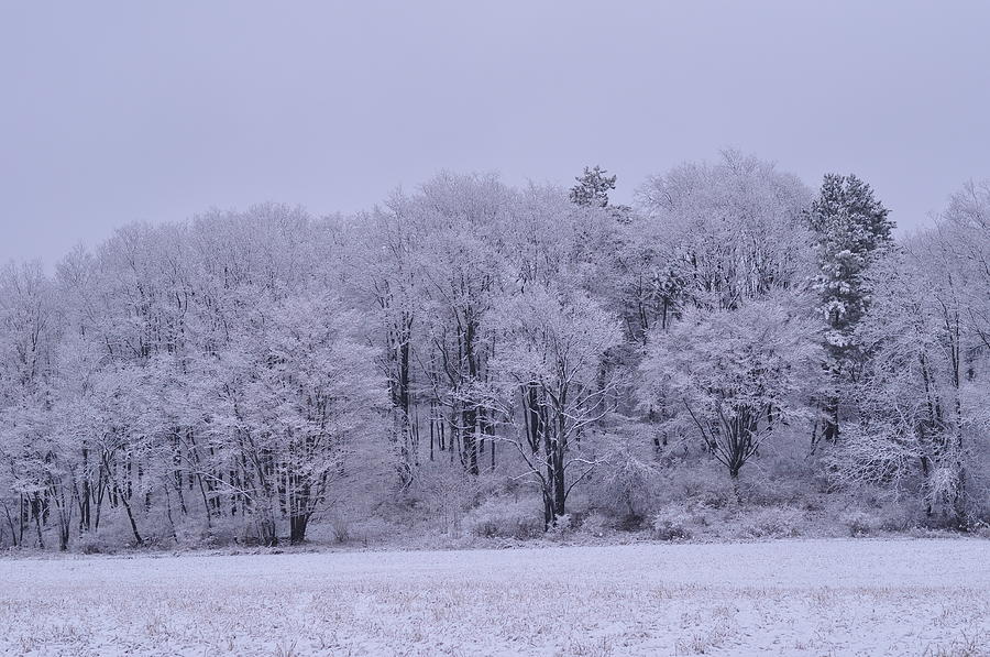 Frosty field by Dave Robinson Frosty field by Dave Robinson
