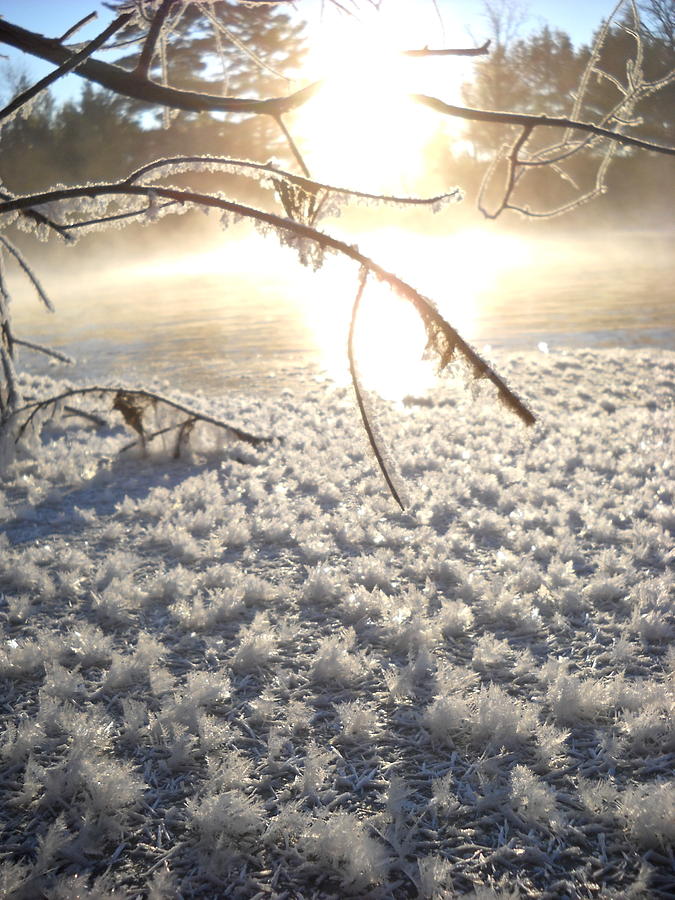 Frosty Ice at Sunrise Photograph by Kent Lorentzen