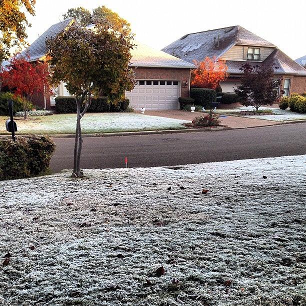 Frosty Morning In My Neighborhood Photograph by Elizabeth Fitzgerald