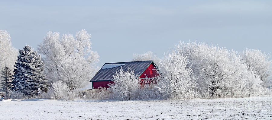 Frosty Morning on Red Barn Photograph by Jack Schultz