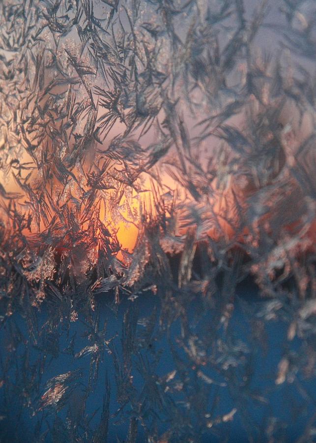 Frosty Sunrise Photograph by Ellery Russell