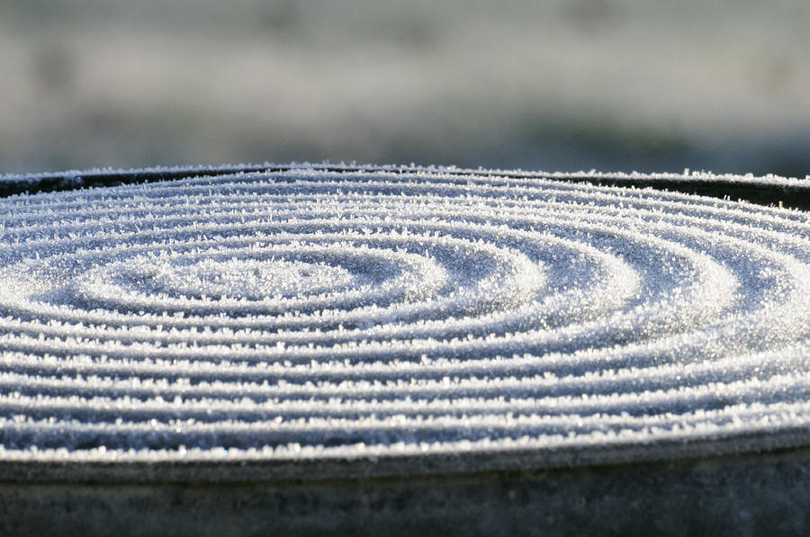 Winter Photograph - Frosty Swirls by Wanda Brandon