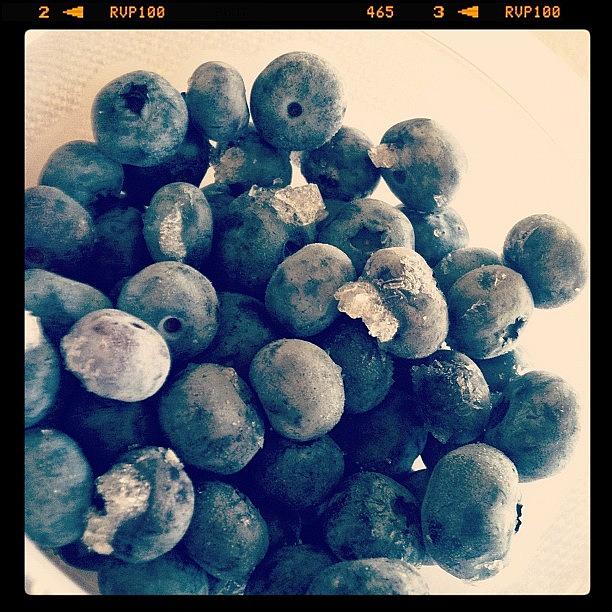 Frozen Blueberries? Dont Mind If I Do Photograph by Michelle Sampson
