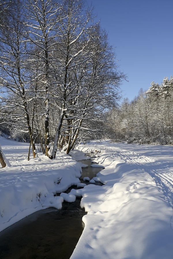 Frozen cold winter landscape Photograph by Aleksandr Volkov - Fine Art