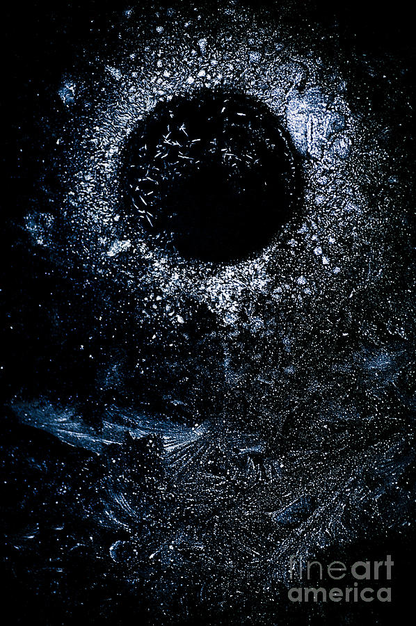 Frozen Cosmos Photograph by Venetta Archer