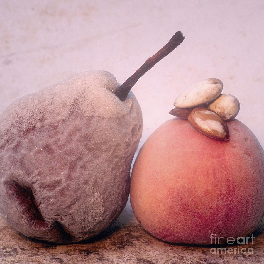 Pear Photograph - Frozen fruits by Bernard Jaubert