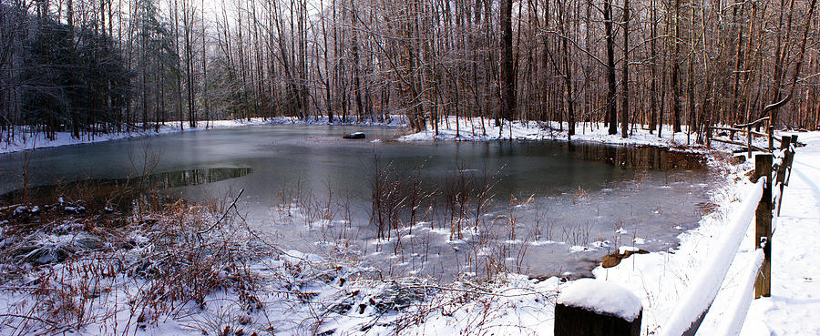 Frozen Head Pond Photograph by Paul Mashburn