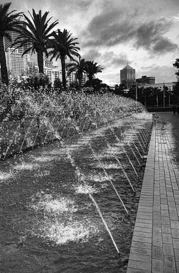 Frozen in Time Photograph by Douglas Barnard - Fine Art America