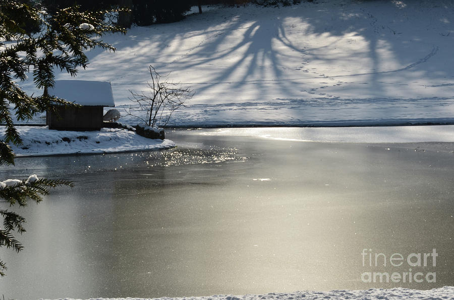 Winter Photograph - Frozen Lake by Bruno Santoro
