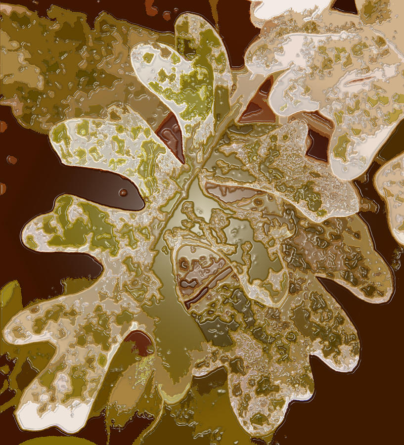 Abstract Photograph - Frozen Leaves in Brown Water by Mary Sedivy