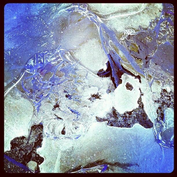 Map Photograph - Frozen Puddle, Ice Maps #abstract by Marianne Dow