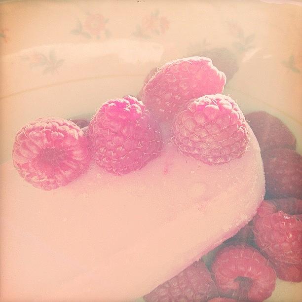 *frozen Raspberry Greek Yogurt Topped Photograph by Vanessa Ray