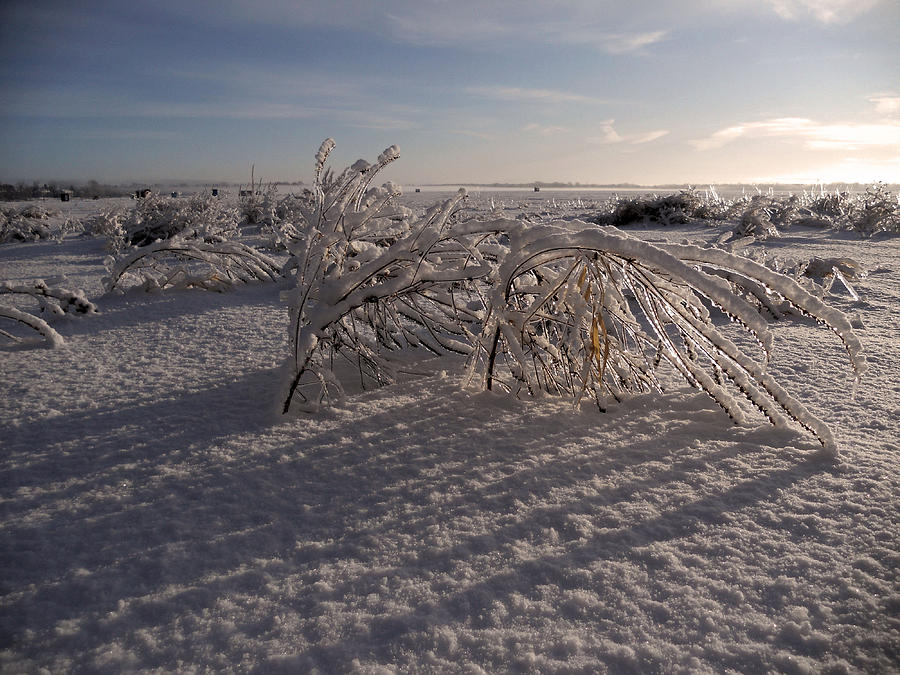 Frozen Riviere des Mille Iles - QC Photograph by Juergen Weiss