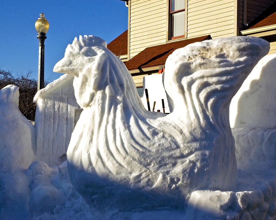 City Photograph - Frozen Snow Chicken by LeeAnn McLaneGoetz McLaneGoetzStudioLLCcom