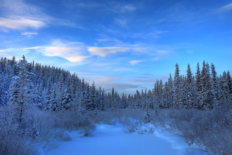 Frozen Stream Along The South Canol Photograph by Robert Postma - Fine ...