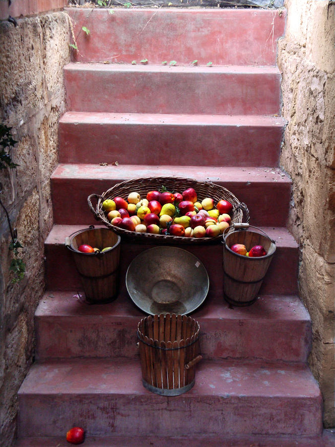 Fruit Photograph - Fruit Basket by Kelly Jones