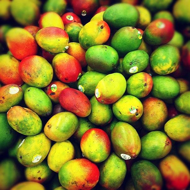Summer Photograph - #fruit #color #beautiful #mango #summer by Brienne Jae Sagona