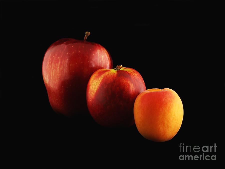 Fruit Photograph - Fruits Lineup by Alfredo Rodriguez