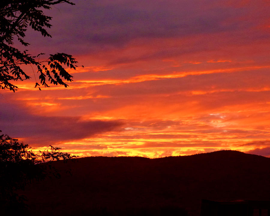 Fryeberg Sunset Photograph by Ann Tracy
