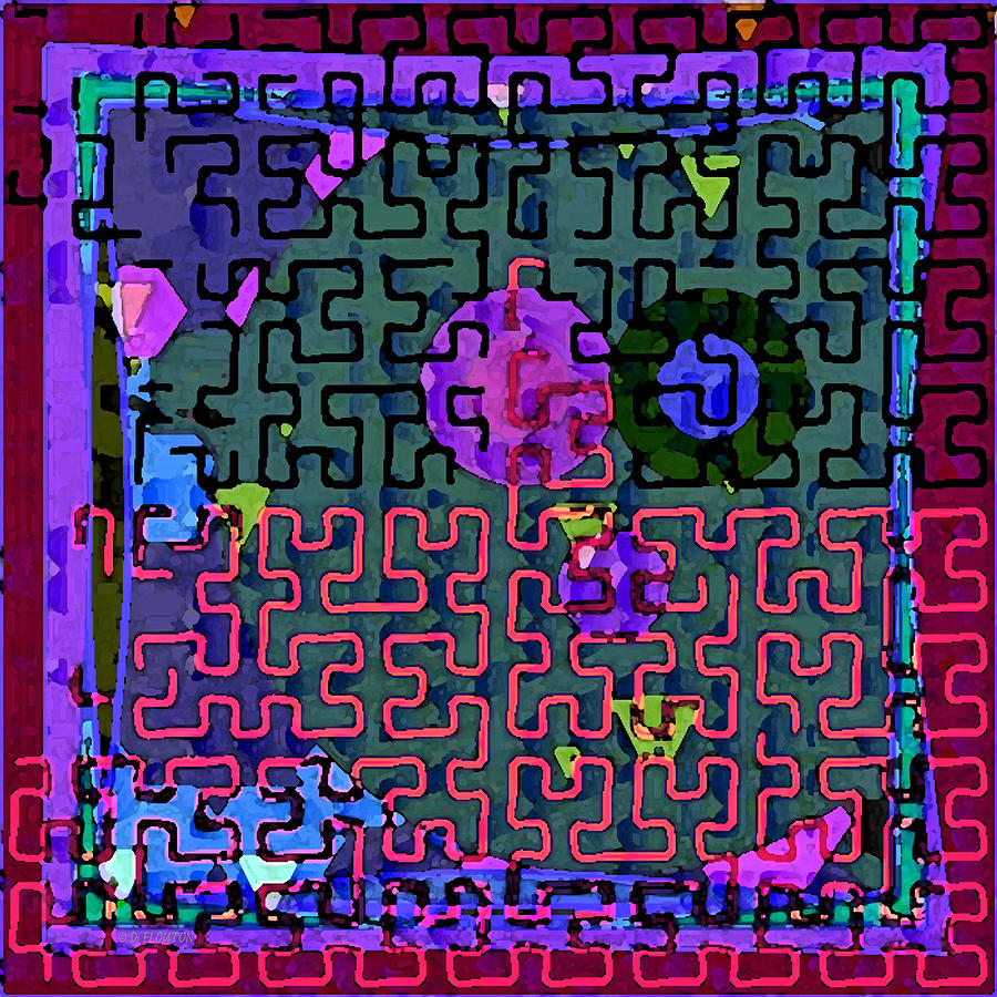 Fuchsia Maze Digital Art by Dee Flouton