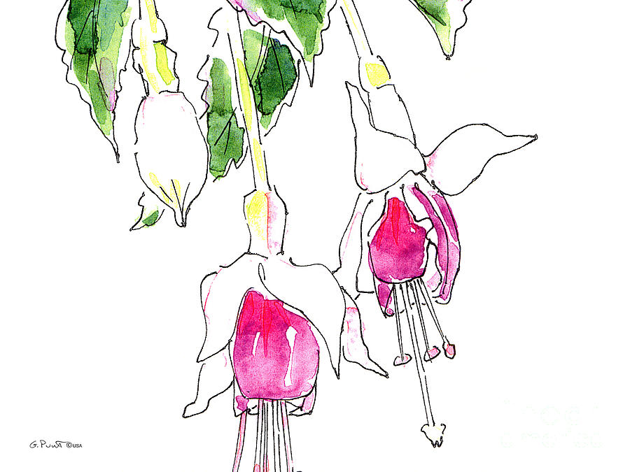 Fuchsia Watercolor Painting 1a Painting by Gordon Punt