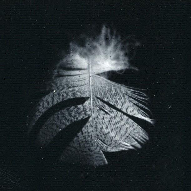 Hasselblad Photograph - #fujiroid #polaroid #polaroidback by Andy Kleinmoedig