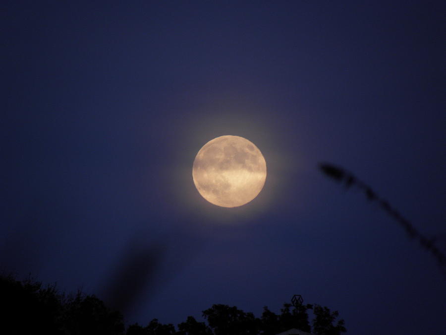 Full Moon Arising Photograph by Kim Galluzzo
