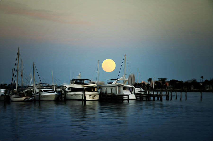 Full Moon at Clearwater Marina Photograph by Bill Cannon